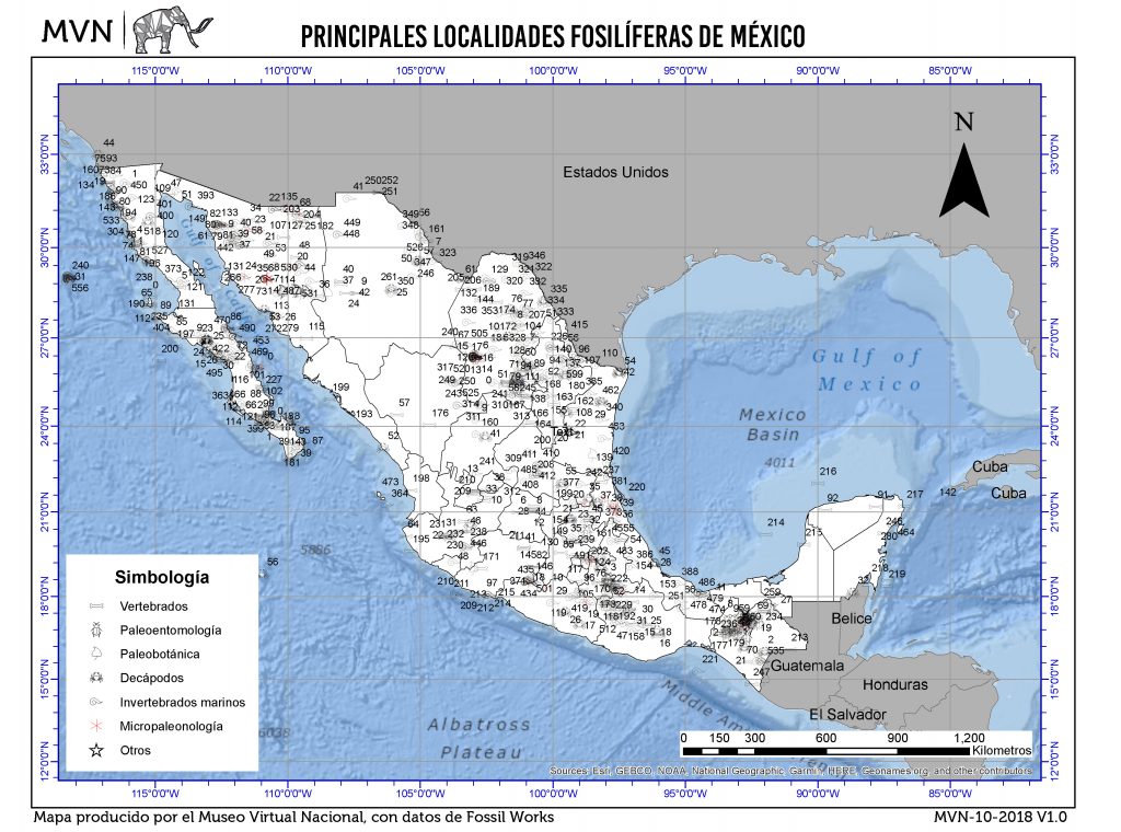 Localidades fosilíferas en México Museo Virtual Nacional