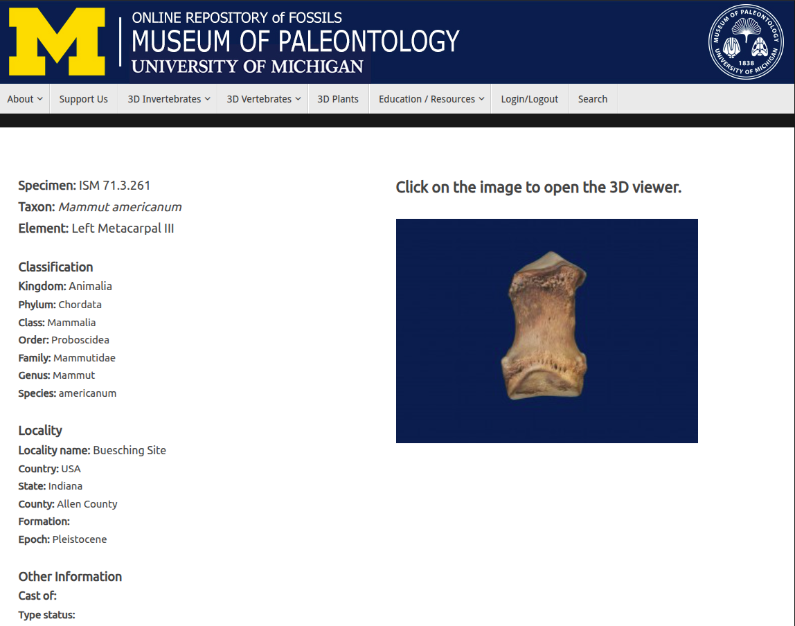 Metacarpal disponible en UMORF