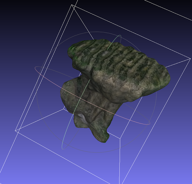 Molar Dp2 Mammuthus
