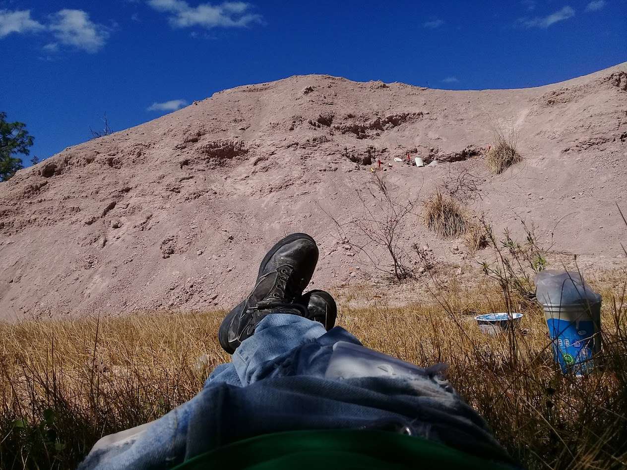 Camino a la Paleontología