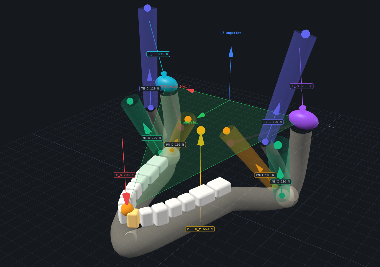 Vectores de fuerza y triángulo de soporte de Greaves en la mandíbula 3D